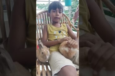 g58 cute bunny playing swing with Heiddha #shorts #rabbit #bunny