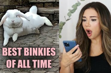 The 10 Best BUNNY BINKIES of ALL TIME