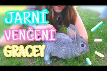 OUR CUTE BUNNY | Hams terka