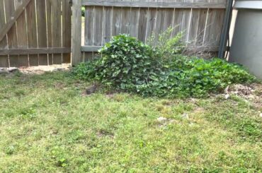 Can You See the Cute Baby Rabbit?