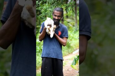 with ma cute Rabbit.