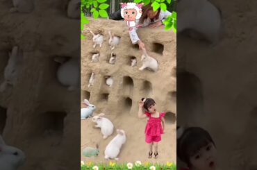 Cute Rabbit  #shorts #video #viral