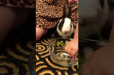 Eating With Cute Bunny