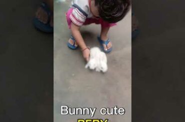 The Cutest Baby Bunny Rabbit  boy soe cute #shorts