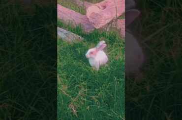 cute baby