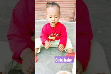 cute baby bunny rabbits #shorts #rabbit