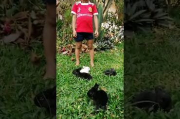 baby rabbit, cute little rabbits, baby with rabbits.