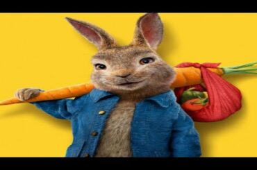 Cute Baby Rabbit Playing Video#PPM Animals