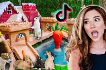 REACTING TO TIK TOK'S MOST INSANE RABBIT HABITATS