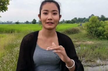 Cute Rabbit to play grass green in my  Field near my Home with me