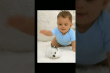 so cute Bunny and the baby#ytshorts #shorts #shortsvideo #short #funny