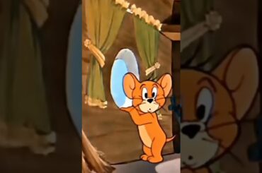 CUTE BUNNY #bunnyrabbit #houserabbit #rabbit #instarabbit #rabbitlife #shorts #short #shortvideo