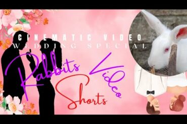 The BTS Rabbit | #btsrabbit #therabbitsofficialchannel shorts #masti #bts #cuterabbit #btsarmy #cute