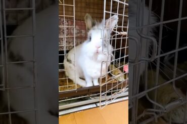 Excuse Me Why You So Cute #short #shorts #viral #youtube #ytshorts #ytshort #viralvideo #shortvideo