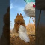 Funny and Cute Bunny video#rabbit#animals#pets#viral#trending#shorts#2023.