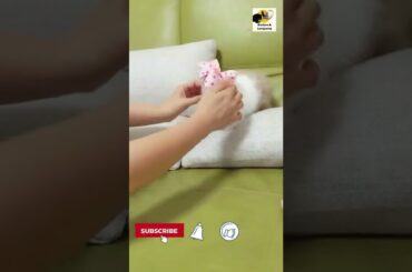 Cute Bunny with a Bow Tie. Cute Rabbit with a Bow Tie#shorts