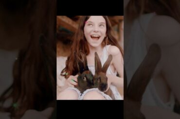 Funny with Cute Bunny #cute #rabbit #bunny #shorts #viral #funny