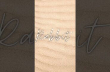 Cute Rabbit Eating Flowers #bunny