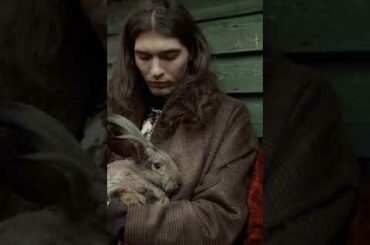 Cute Rabbit Video #short #shorts #rabbit #bunny #animal #viral #viralvideo #pets #pet #animals #cute