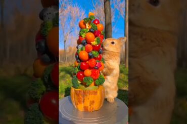 #cute #rabbit #youtubeshorts #viral