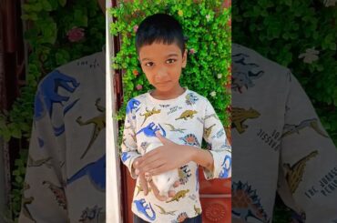 cute baby rabbit #shorts