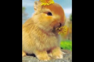 cute#rabbit#eating #ytshorts