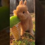 Funny and cute rabbit eating ice cream|#shorts #funny #2023 #subscribe