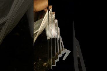 Cute Rabbit | animation movie | #viralshortsvideo #viral