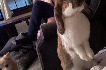 I’ll just stand here looking cute, take as many as you want mom