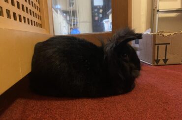 Butt resting on weird places = Maximum Comfort