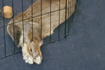 Between the bars