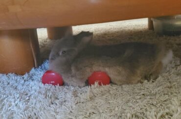 That's not how you use those :0