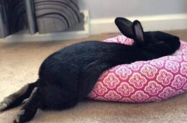 Sometimes you just need to let them feet breathe