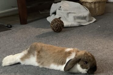 LO̸̢͙͚͌̇͗̈́̀̽̈̚̕G̸̩͐̓͋̂