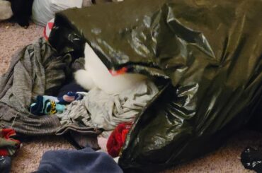 Venus has decided the bag of clothes is now hers to dig through