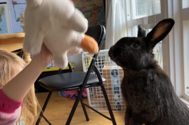 *sniff sniff* Yup. Not real. Just as I suspected!