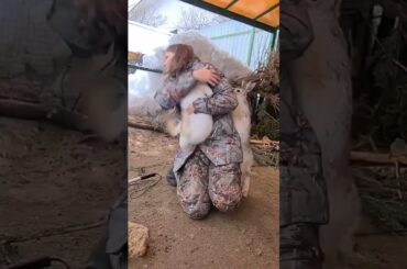 rabbit cute #cute #rabbit #trending #animals #foryou #animals #shorts