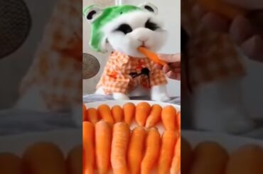 cute baby #bunny eating# carrots