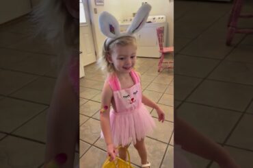 Giant Malamute and Husky Hunt Easter Eggs Hidden by Cute Bunny