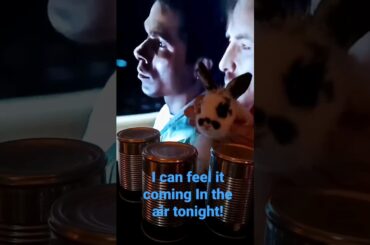 Cute Bunny drum beat. In the air tonight! Baby rabbit shorts .#viral  #short #shorts