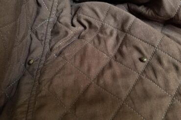 She thinks it's ok to poop on the couch cover because it's brown so no one will see it.