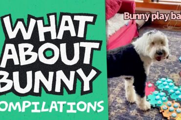 Hi Mom! Remember? Play, Help | What About Bunny