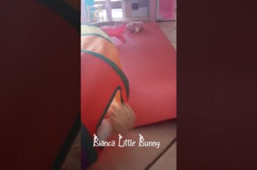 Cute bunny - Bianca's Games