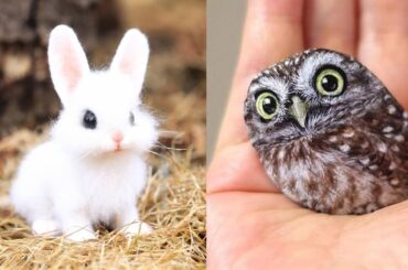 Cute baby animals Videos Compilation cute moment of the animals - Funniest Animals #4