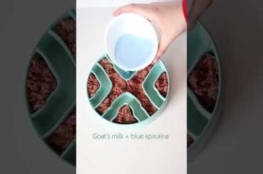 CUTE Rabbit Crossing EASTER DINNER for DOGS