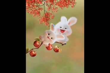 MashaAllah Cute Bunny Rabbit #cute #youtubeshorts