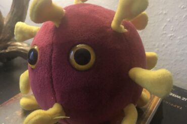 Bunster got “Roni.” Took a bite right out of the spike protein!