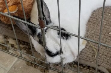 So cozy, lemme just put my eye riiiight here 👁️🤷‍♀️