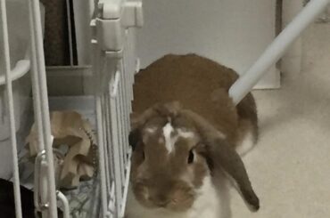I don’t care if the pole was here first. It’s my spot. I called dibs aeons ago.