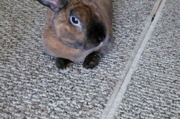 Just burnt around the edges.